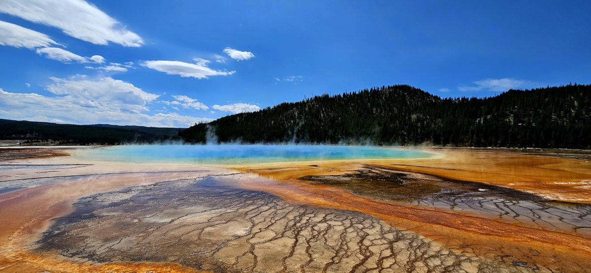 13. Woche Olympia Nationalpark – Yellowstone Nationalpark 