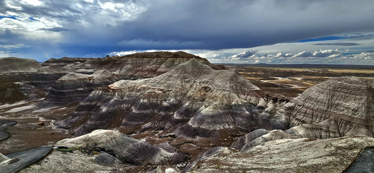15. Woche Little Grand Canyon – The Swell (Buckhorn) – Arches & Canyonland Nationalpark – Shiprock – Petrified Forest Nationalpark – Tempe 