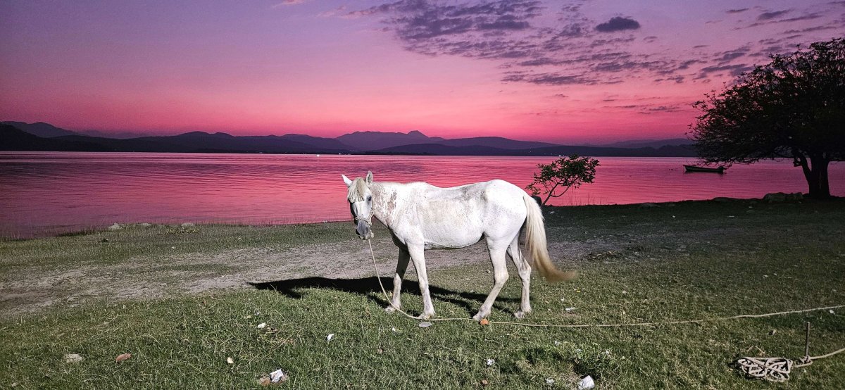  37. Woche Punta Sal – Laguna Yure – Tela – Santa Rosa de Copán – Lago de Güija (El Salvador)