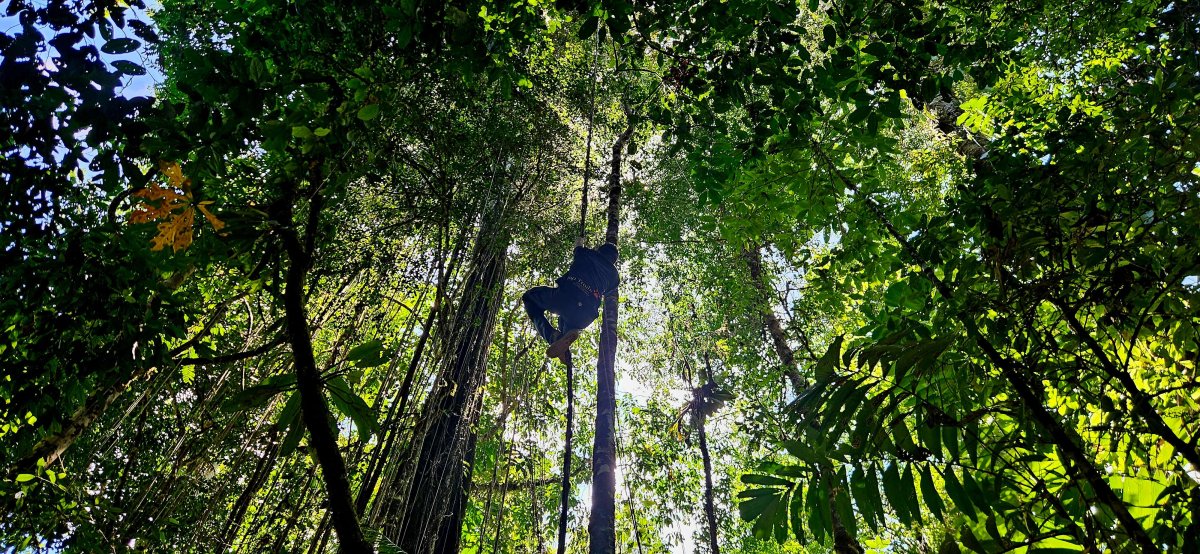 42. Woche Bahia Drake – Corcovado Nationalpark – Barrigones – Playa Pan Dulce (Playa Matapalo) – Playa Pavones 