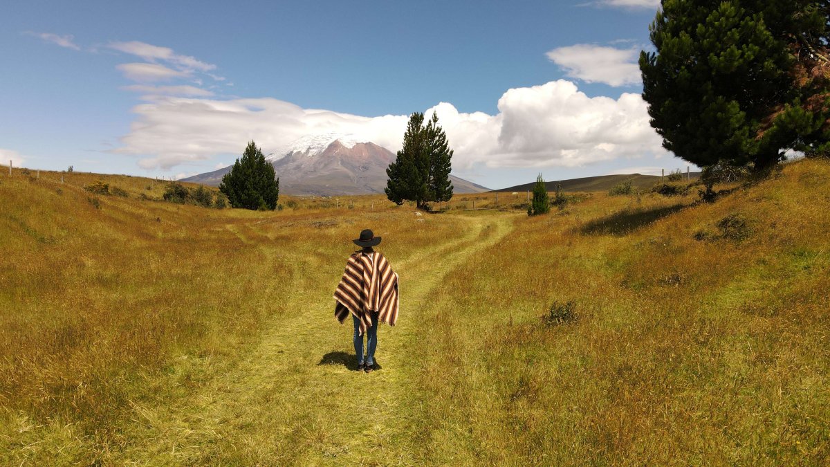 61. Woche: Quito – Cotopaxi – Galápagos